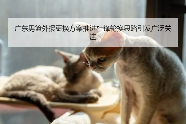 广东男篮外援更换方案推进杜锋轮换思路引发广泛关注 - milan.comapp