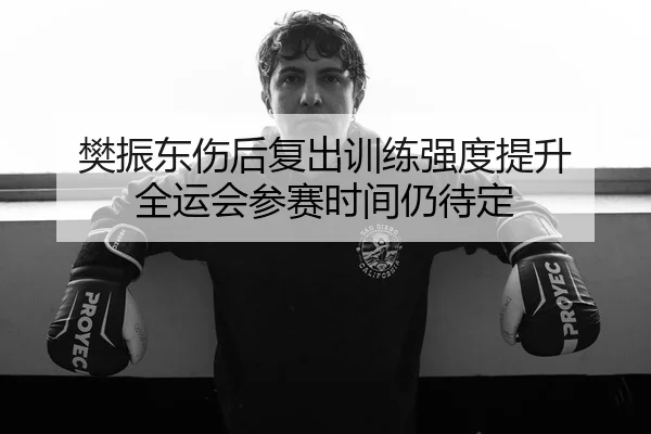 樊振东伤后复出训练强度提升 全运会参赛时间仍待定 | milan.comapp